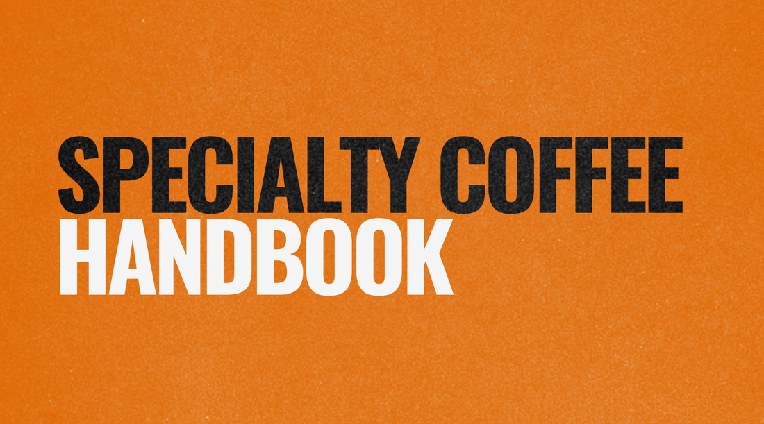 The Ultimate Guide to Specialty Coffee