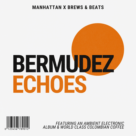 Bermudez Echoes: Ambient Electronic